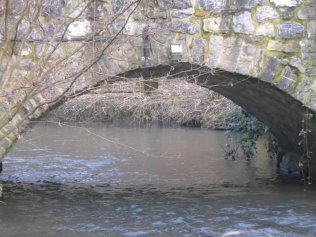 Unter den Brücken an Düssel und Itter verstecken sich einige Nistkästen für Wasseramseln und Gebirgsstelzen. Ein Fall für das Spezialkommando „Wathose“. Foto: Uwe Rabe